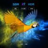 X96 Mini Plus Android 10.0 TV Box 4K IPTV Box – Image 2