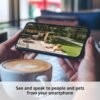 Cameras Surveillance Blink Outdoor 4 Système à 5 Caméras, caméra de sécurité intelligente sans fil, autonomie de deux ans, audio bidirectionnel.